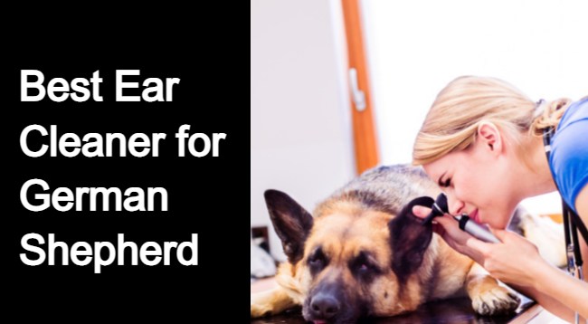 Best Ear Cleaner for German Shepherd