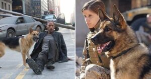 Best German Shepherd Movies: Top 7 Movies