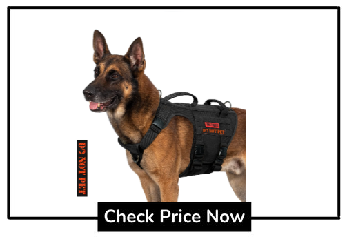 police dog harness for german shepherd